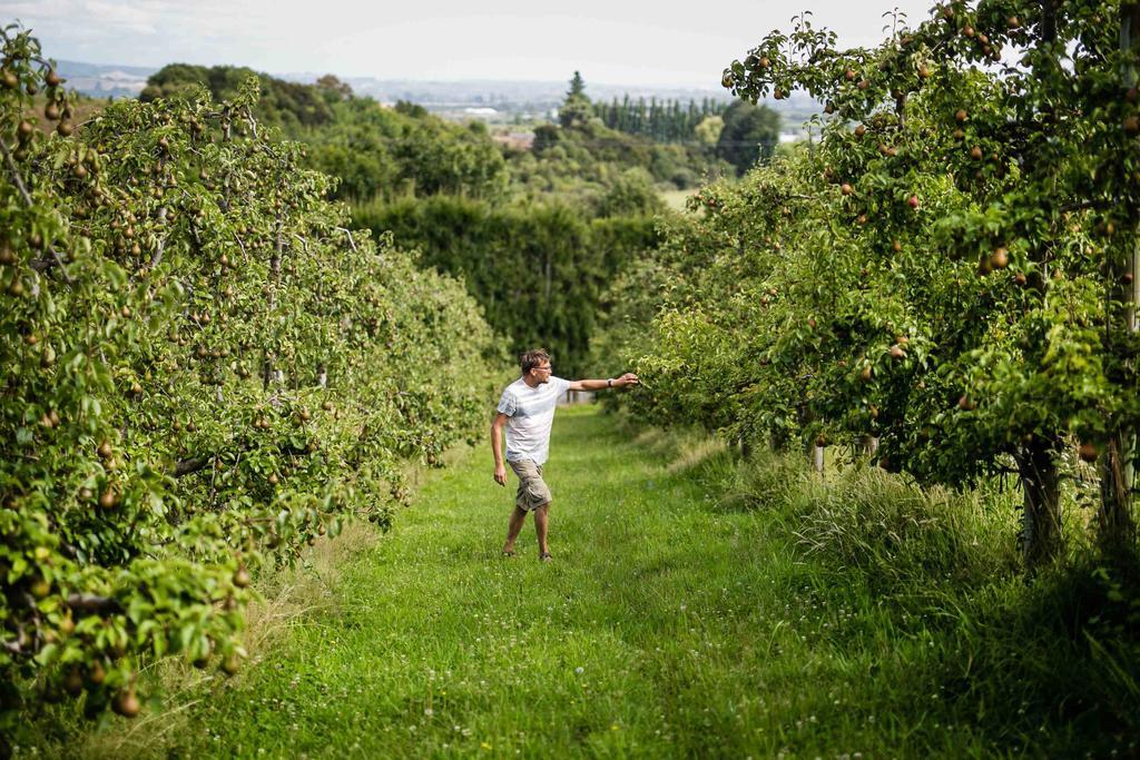 The Pear Orchard Lodge Richmond Dış mekan fotoğraf